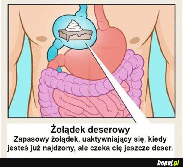 ŻOŁĄDEK DESEROWY