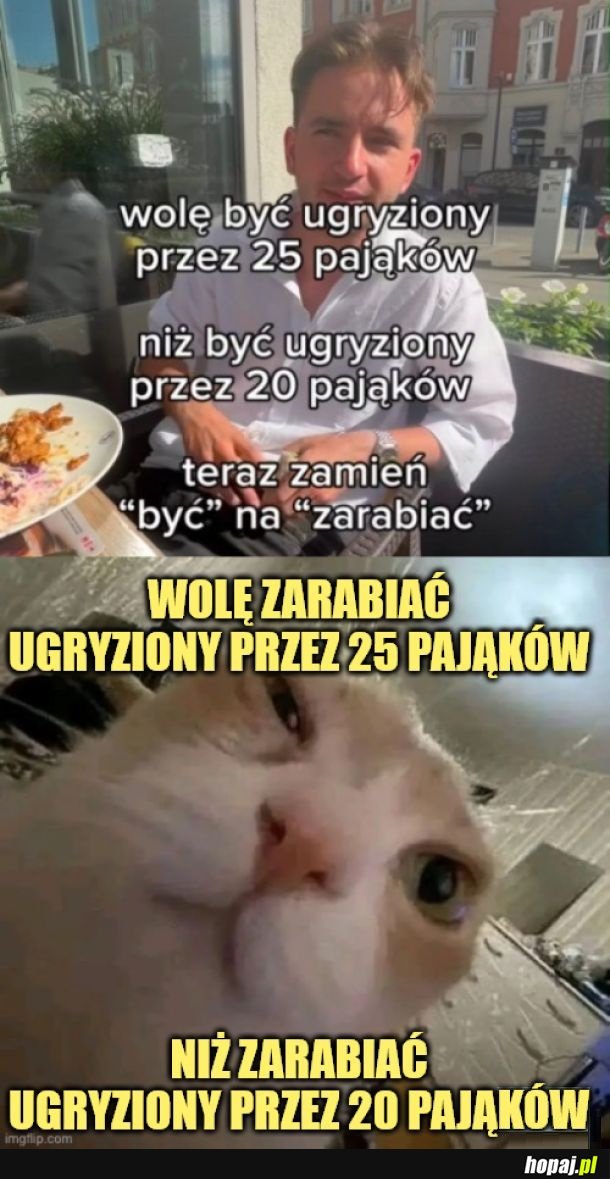 Mądrego to aż miło posłuchać!