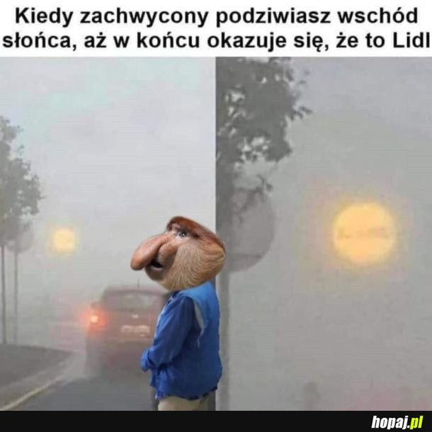 Słoneczko śliczne