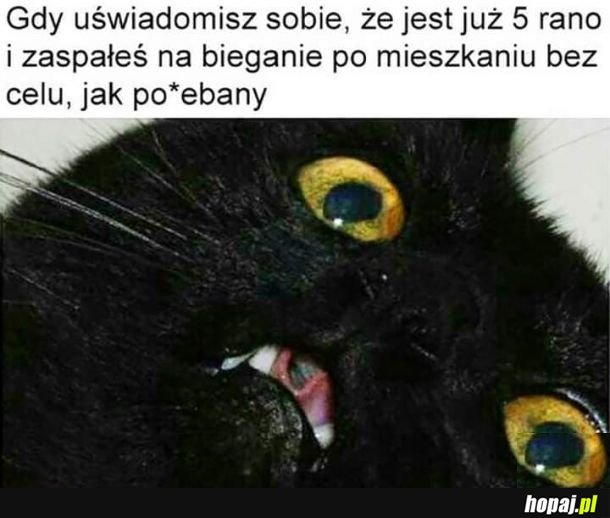 Przepadlo xd