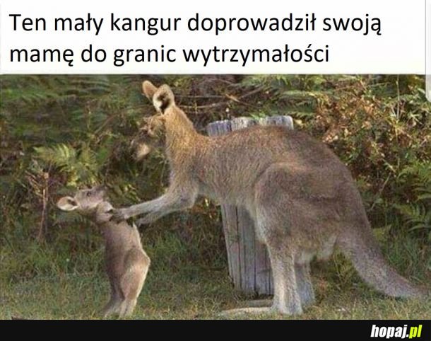 Młody ma przerąbane