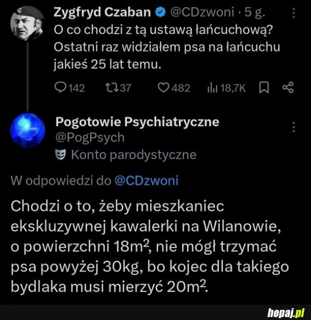 Co z chowem klatkowym Polaka?
