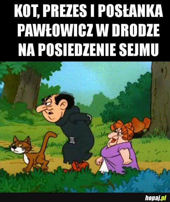 KOT, PREZES I POSŁANKA PAWŁOWICZ