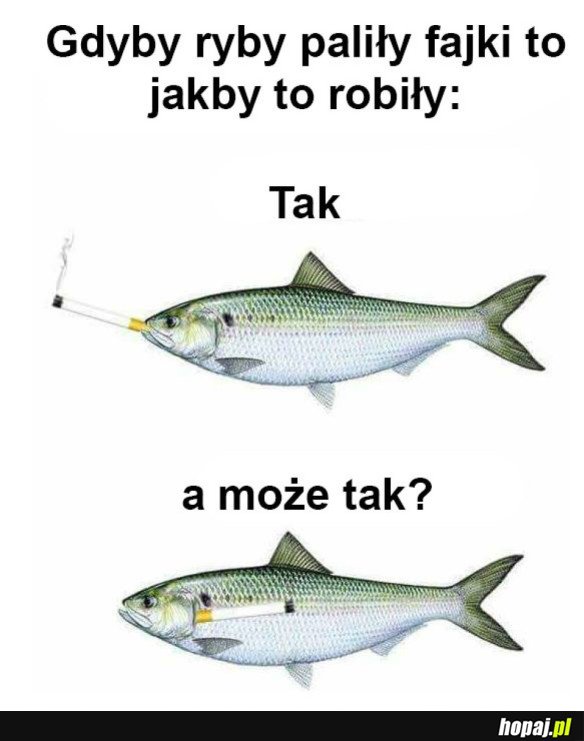 JAK UWAŻACIE?