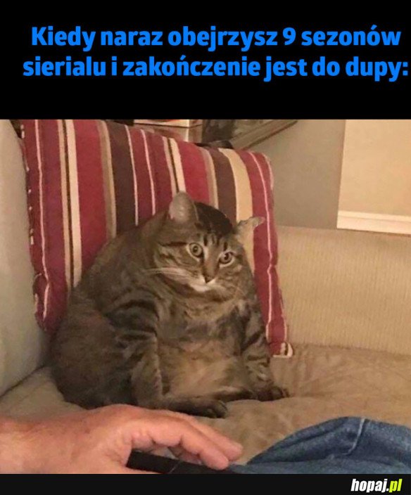 KONIEC SERIALU