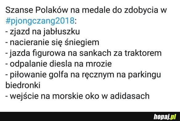 Polska na olimpiadzie zimowej