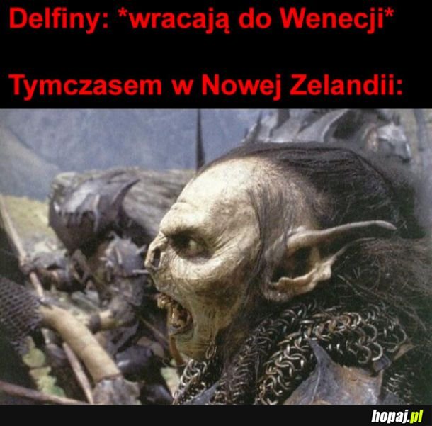 Przyroda wraca