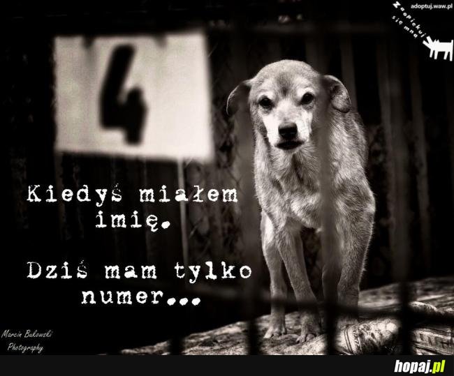 Kiedyś miałem imię