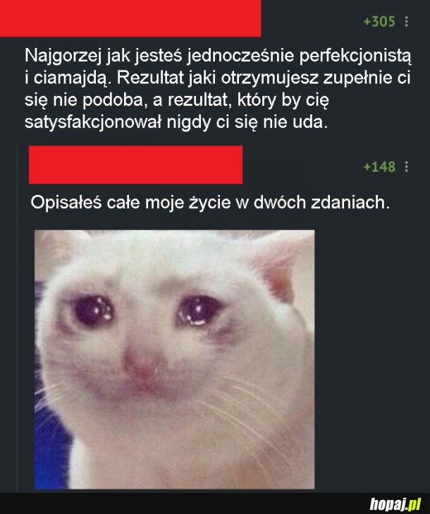 Perfekcjonista ciamajda