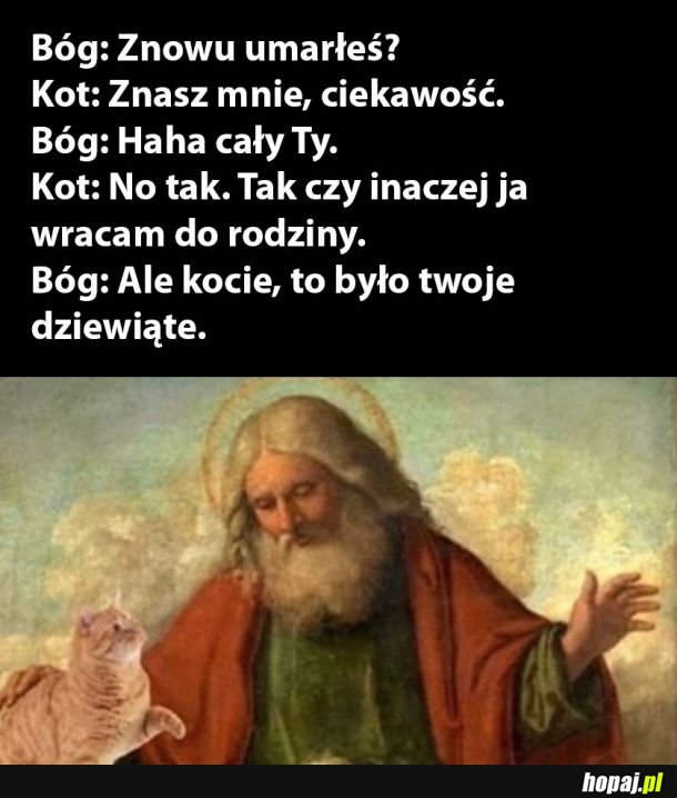 Bóg vs kot