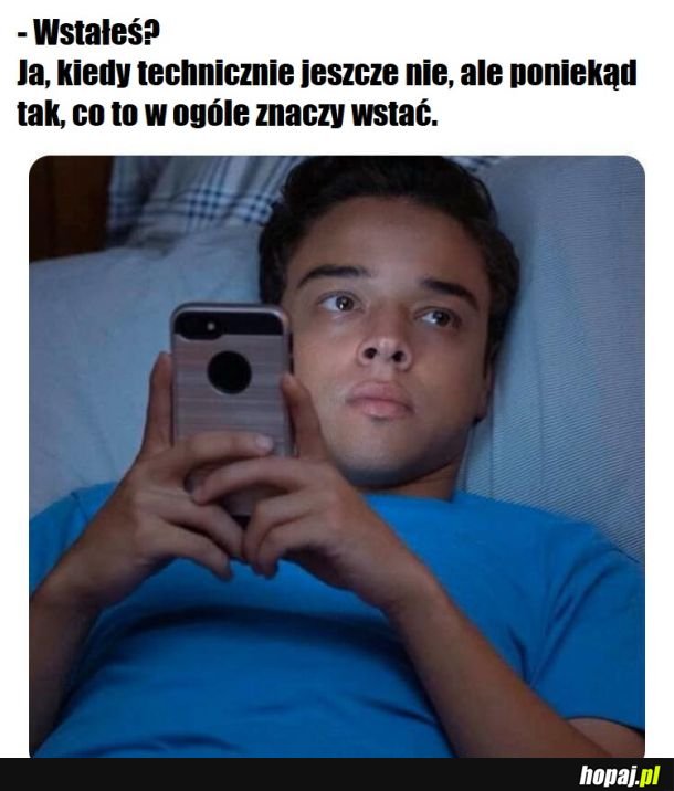 Owszem nie