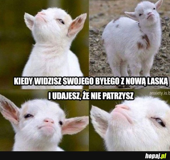 KIEDY WIDZISZ SWOJEGO BYŁEGO