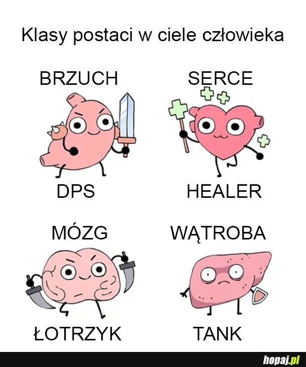 Wnętrze naszego ciała