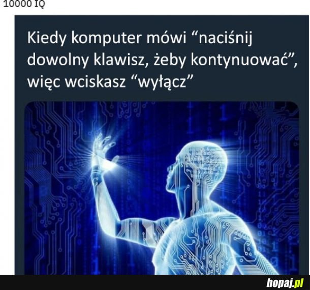 Wysokie IQ