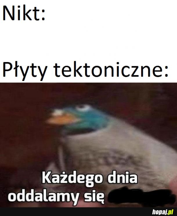 Wędrówka kontynentów 