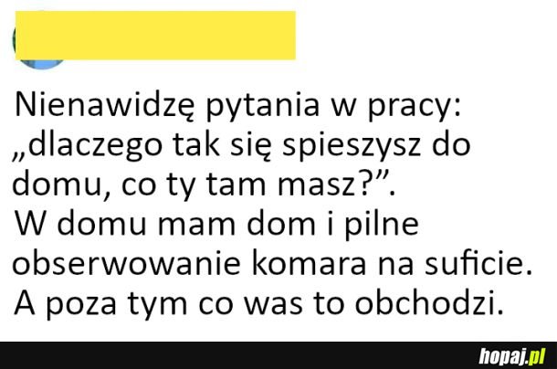 A co was to interesuje