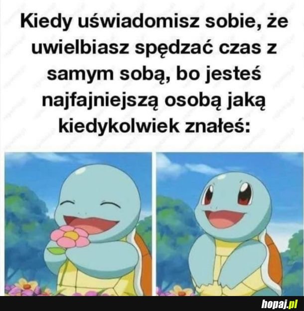 Najlepszy kompan