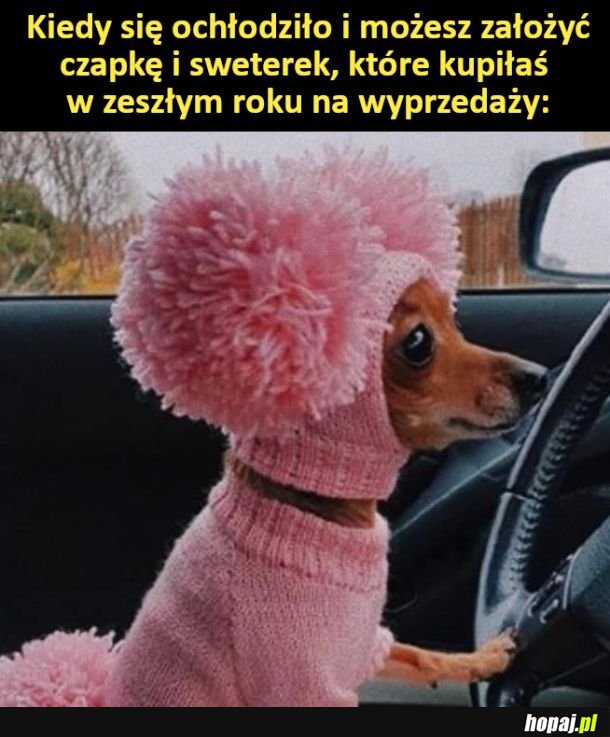 Czapka i sweterek z wyprzedaży