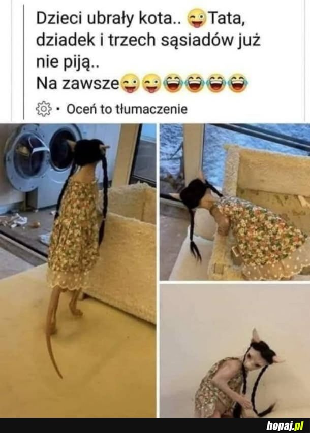 Koty i dzieci