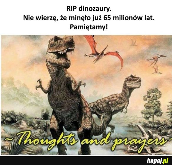 Pamiętamy