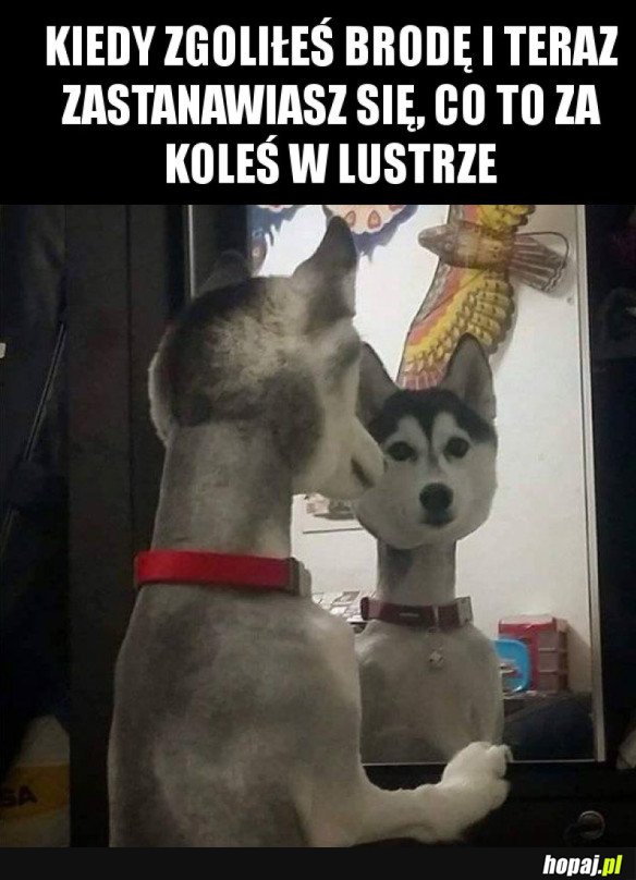 TO NIE JA