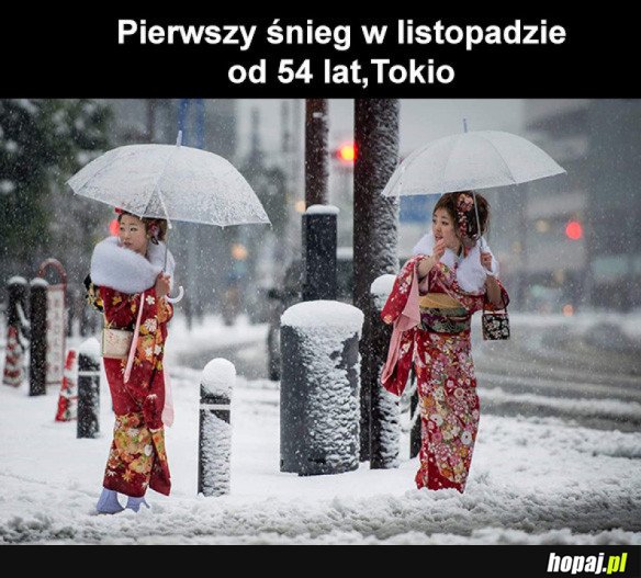 Pierwszy śnieg w Tokio