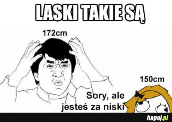 LASKI TAKIE SĄ