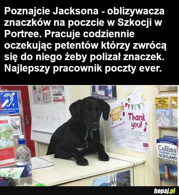 Poczmistrz 