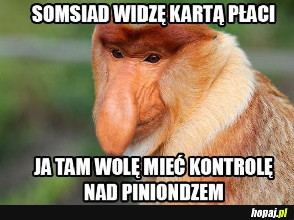 KONTROLA NAD PINIONDZEM