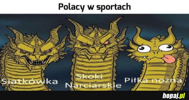  Tak to wygląda 