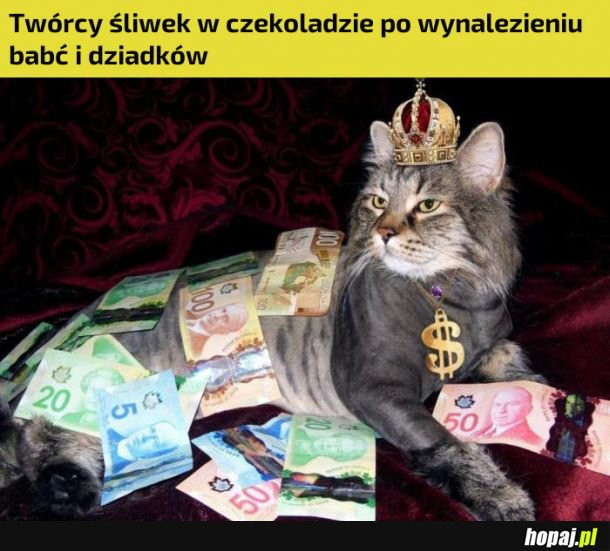 Śliwki w czekoladzie