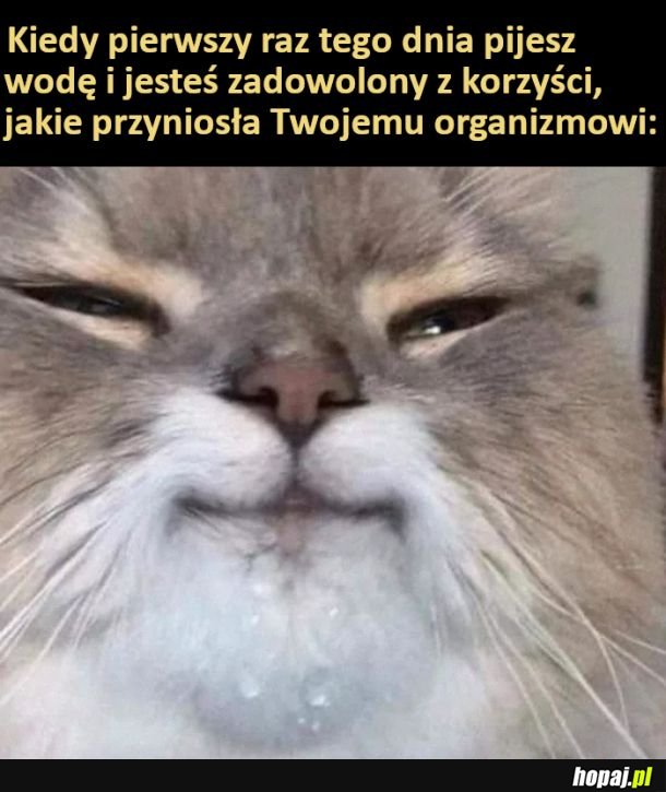 Mmmm, woooda