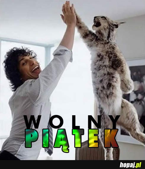 Wolny piątek!