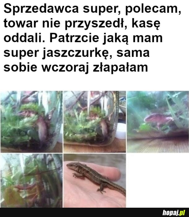 Zadowolony niedoszły klient