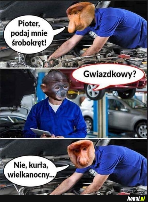 Pjoter pomusz 