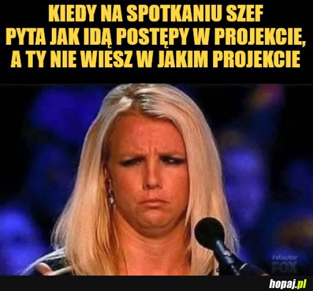 Jaki projekt? 