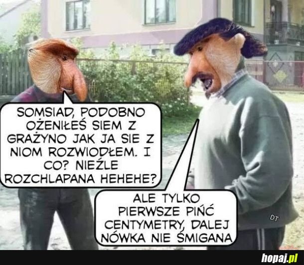 W zasadzie dziewica