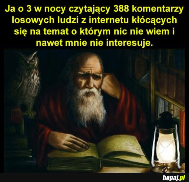 Uwielbiam kłótnie w internecie