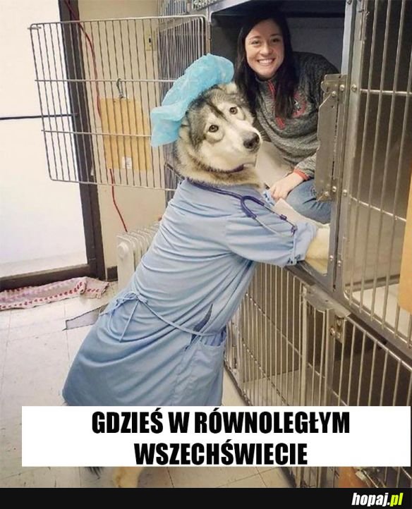 Schronisko dla ludzi