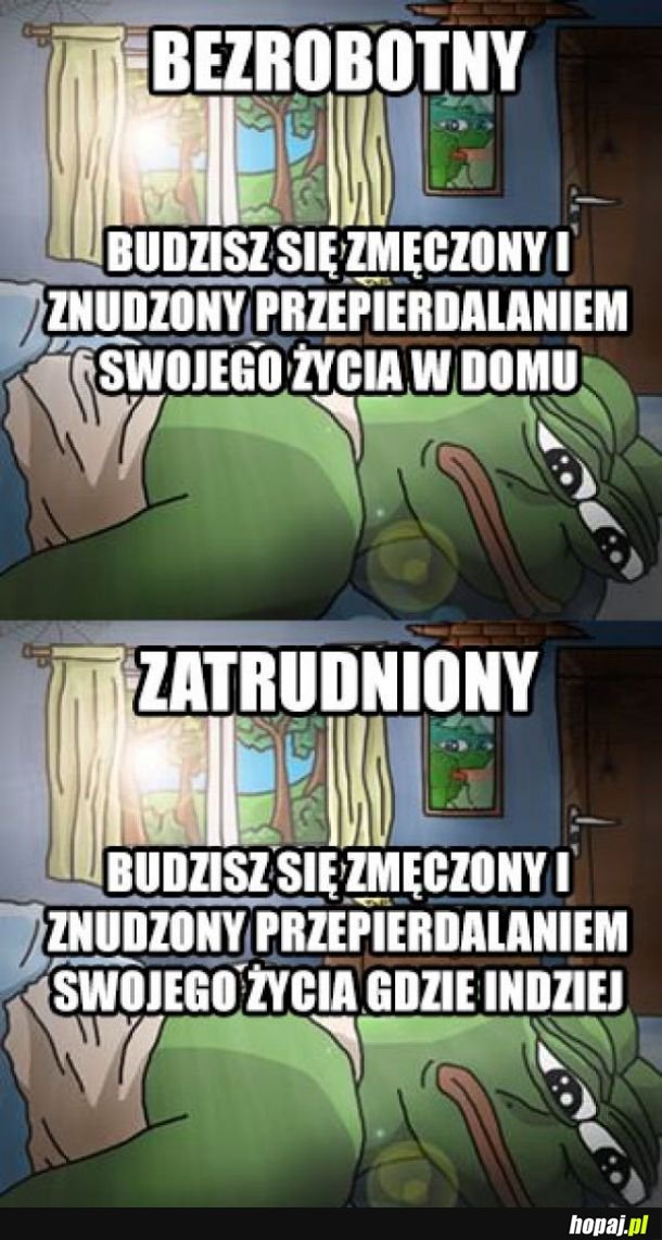 Pracujący vs bezrobotny