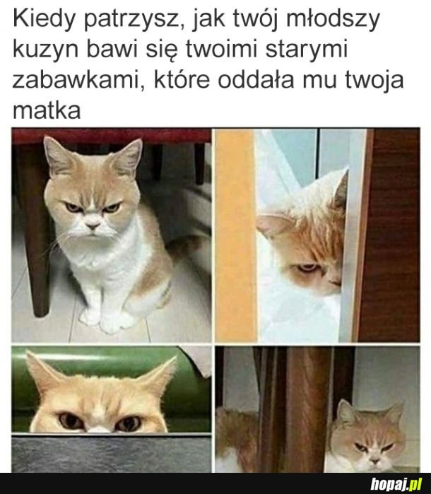 Nigdy ci tego nie wybaczę, mamo