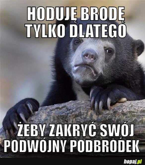 HODUJĘ BRODĘ TYLKO DLATEGO
