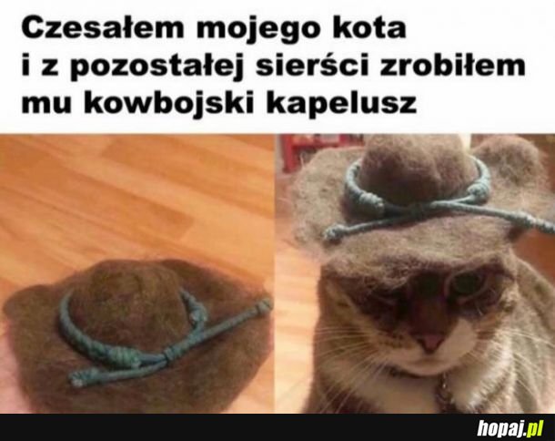  Koteł