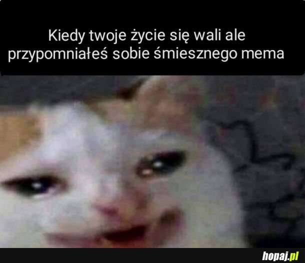 Z uśmiechem przez życie 