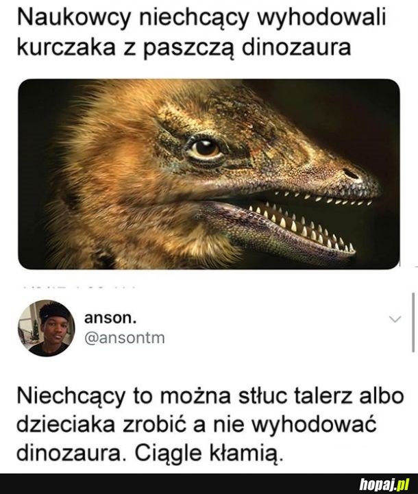 Naukowcy niechcący wyhodowali kurczaka z paszczą dinozaura