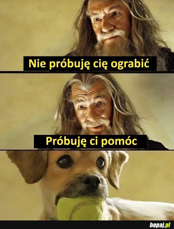 Moje nie oddam