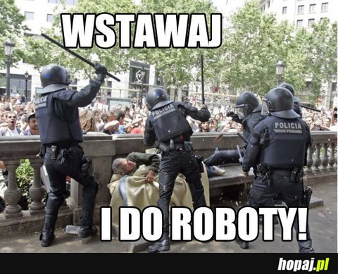 Wstawaj i do roboty!