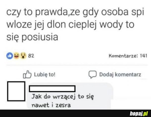 Tipy
