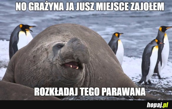 JANUSZE NA WAKACJACH