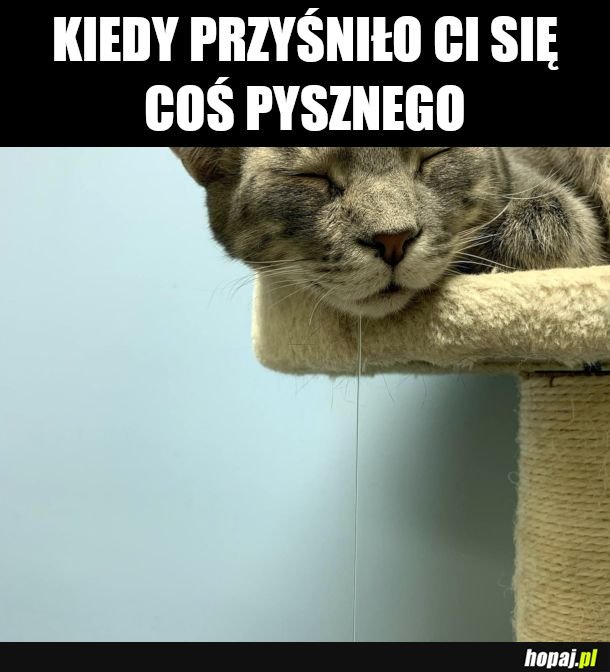 Pieczone kurczaczki 